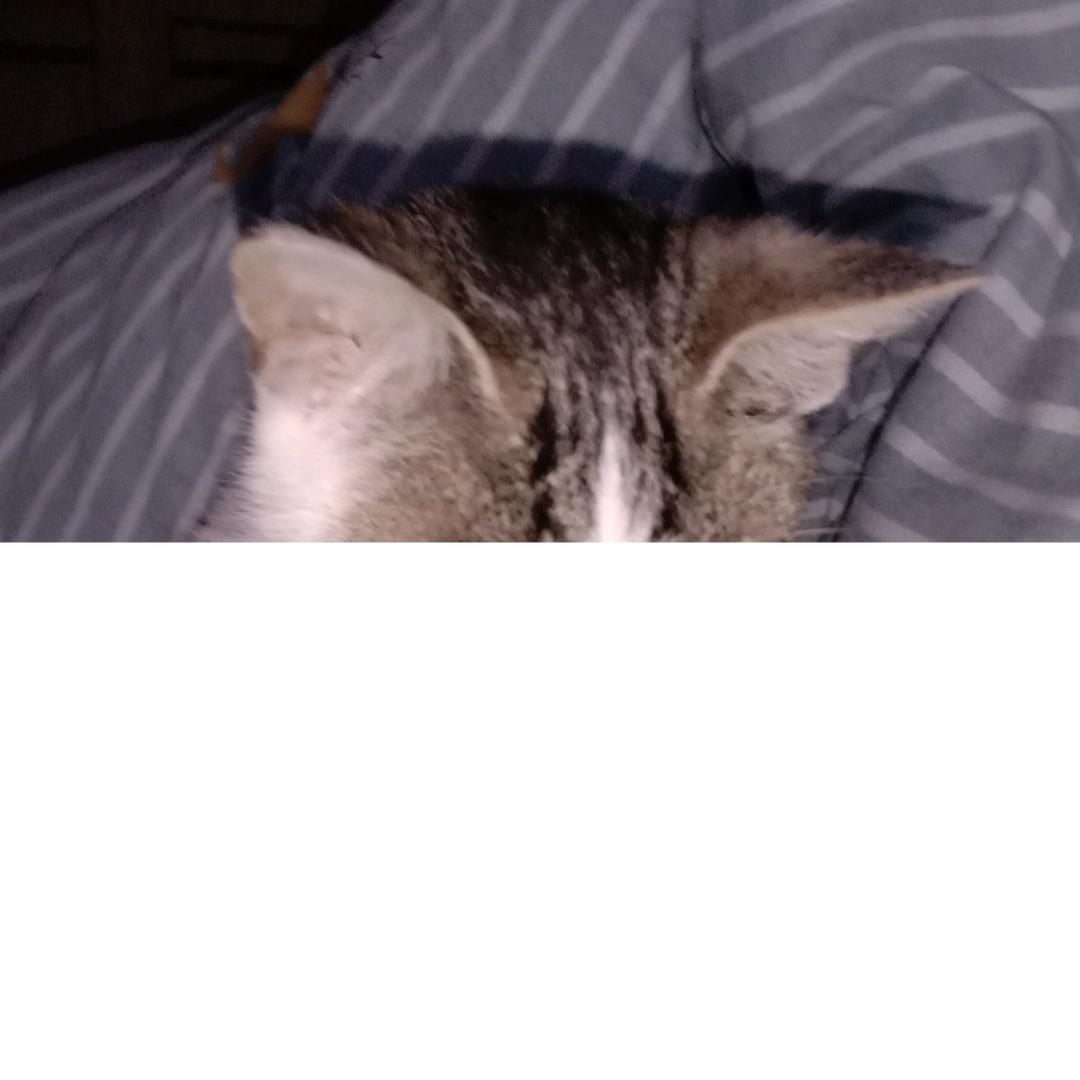 1773811428