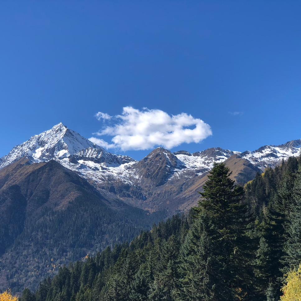 在森福栖享漫时光