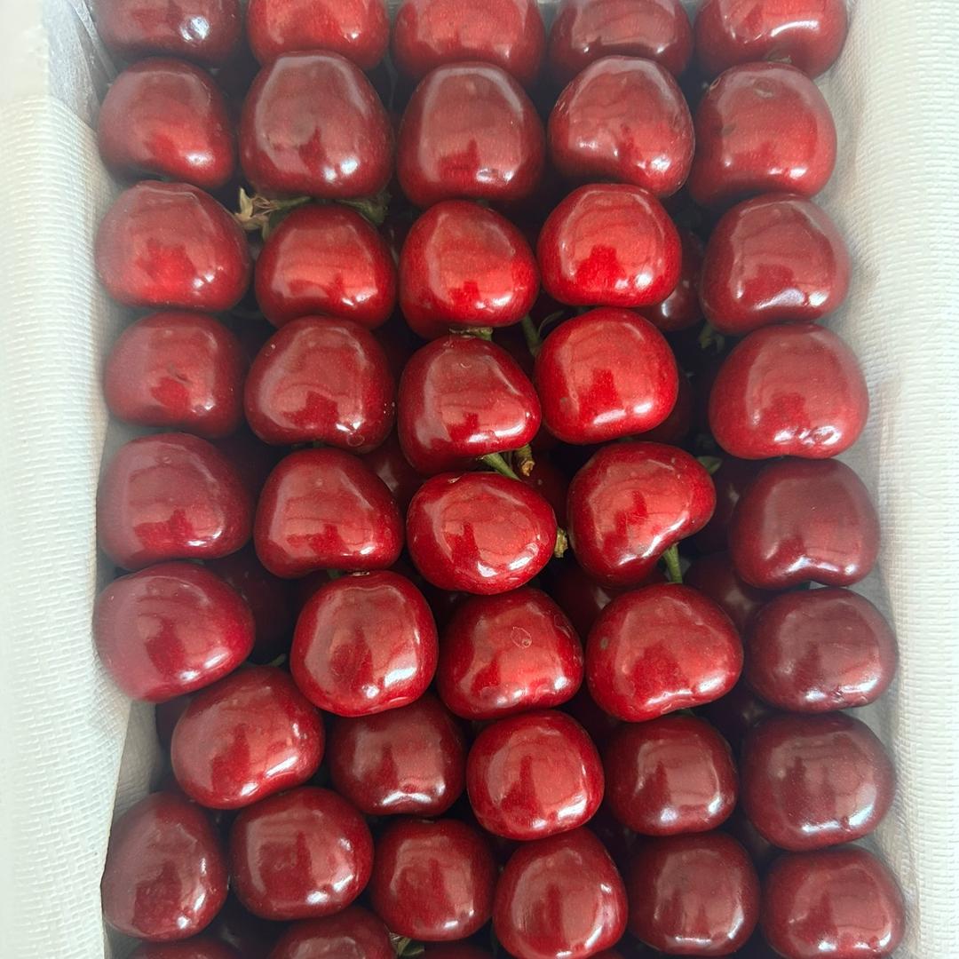 沐恩樱桃园🍒的快乐生活