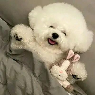💝果果