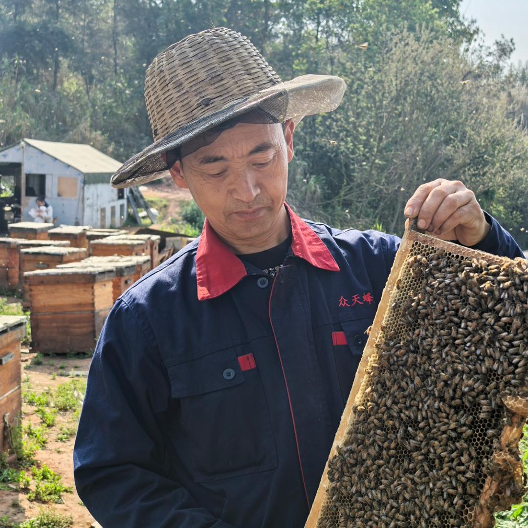 野锋蜜蜂养殖场
