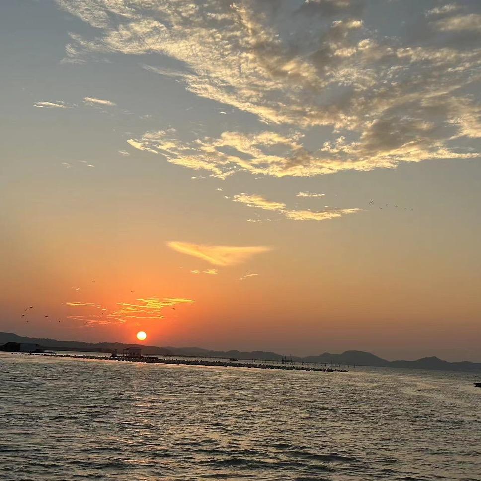 桐