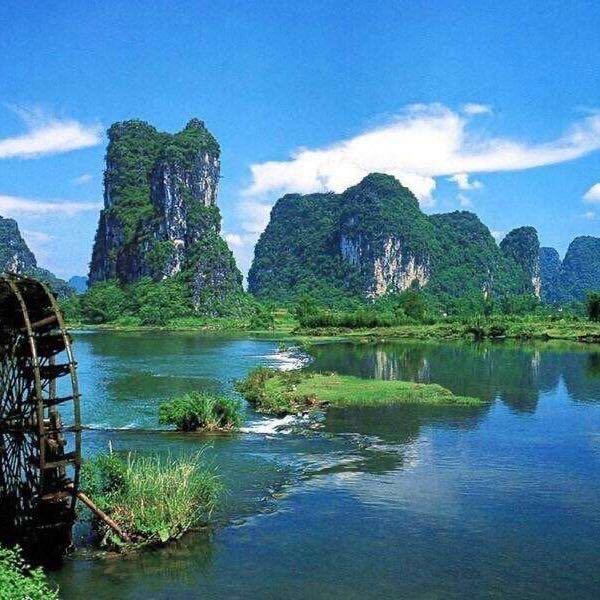 维维