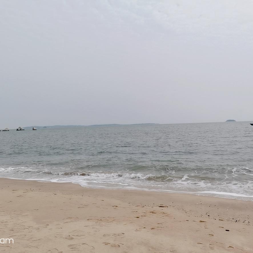 废品终结者（老刘与小陈）