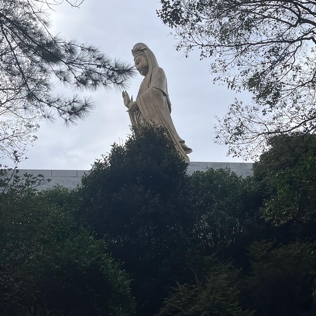 缘定于心