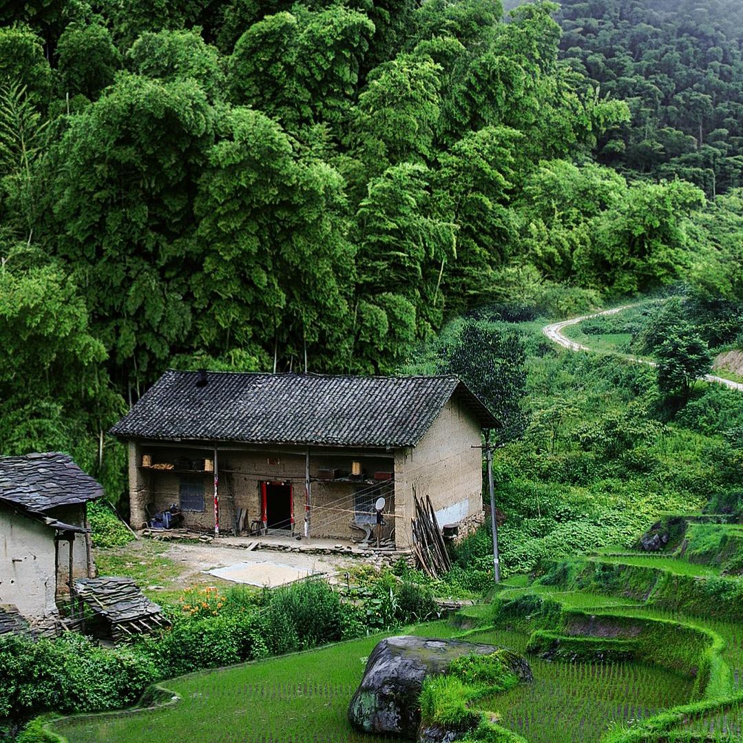 一条小泥鳅