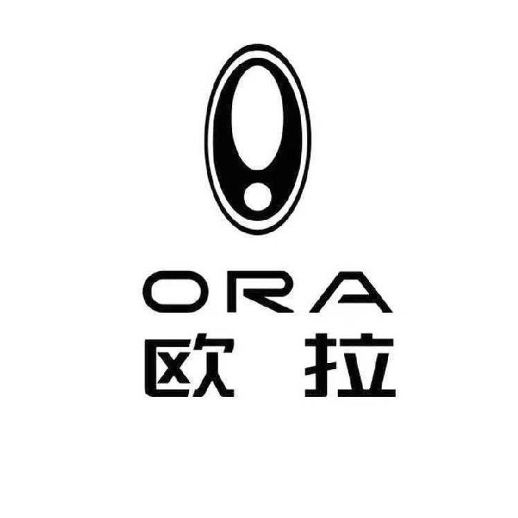 欧拉-小高说车