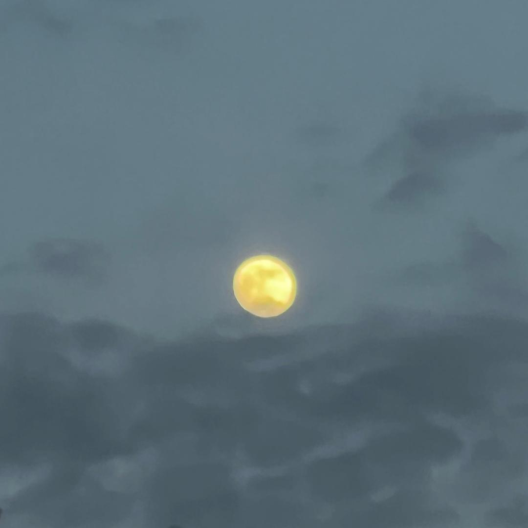 Sūn