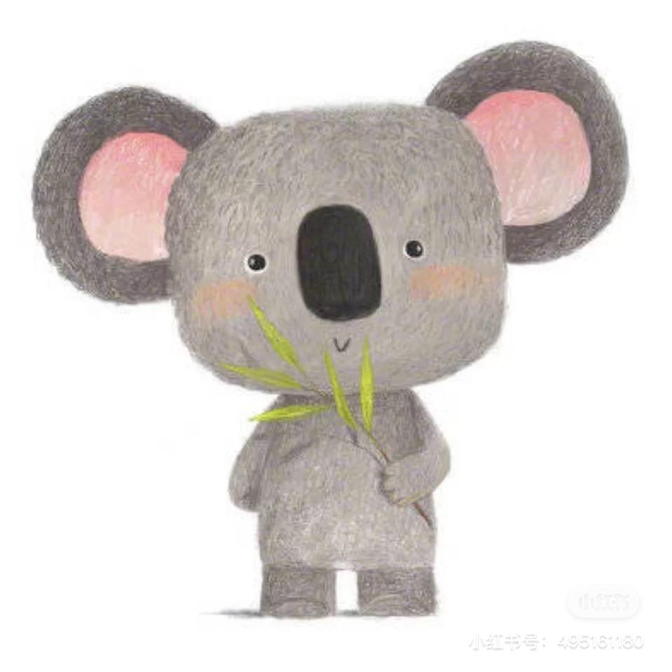 🐨考拉小阿姨🐨