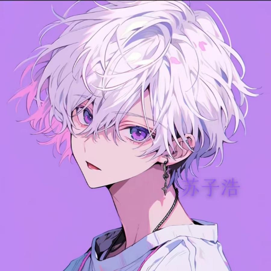 苏子浩头像