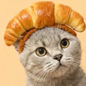 百万是只猫