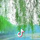 龙腾虎跃