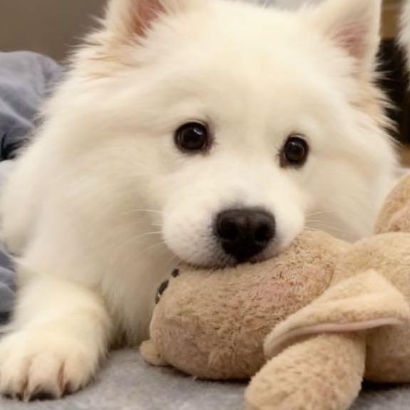 东东（剑灵怀旧服）