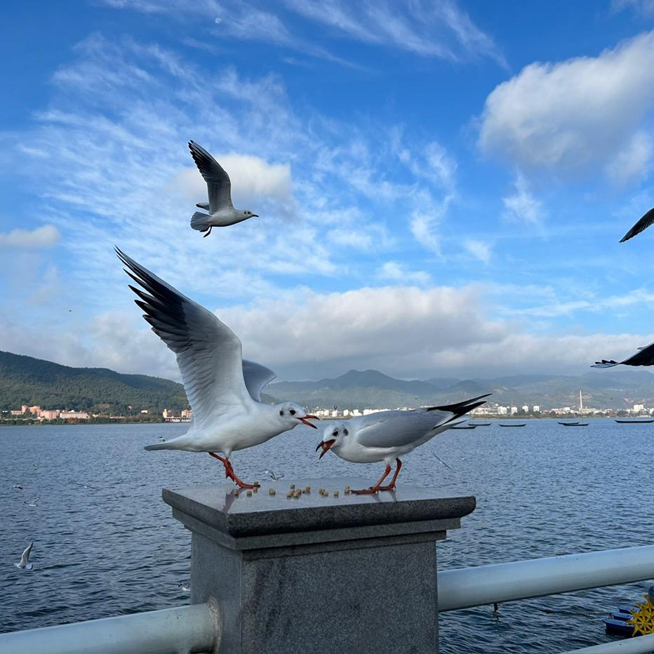 原阳县路巷商贸行（个体工商户）