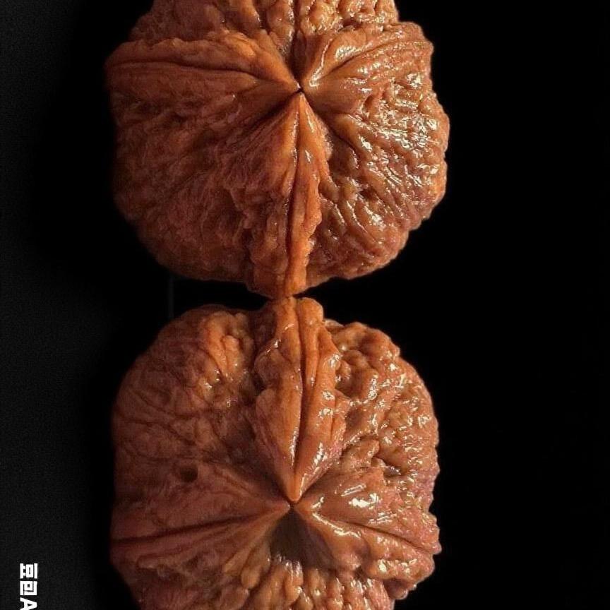 三江铁核桃