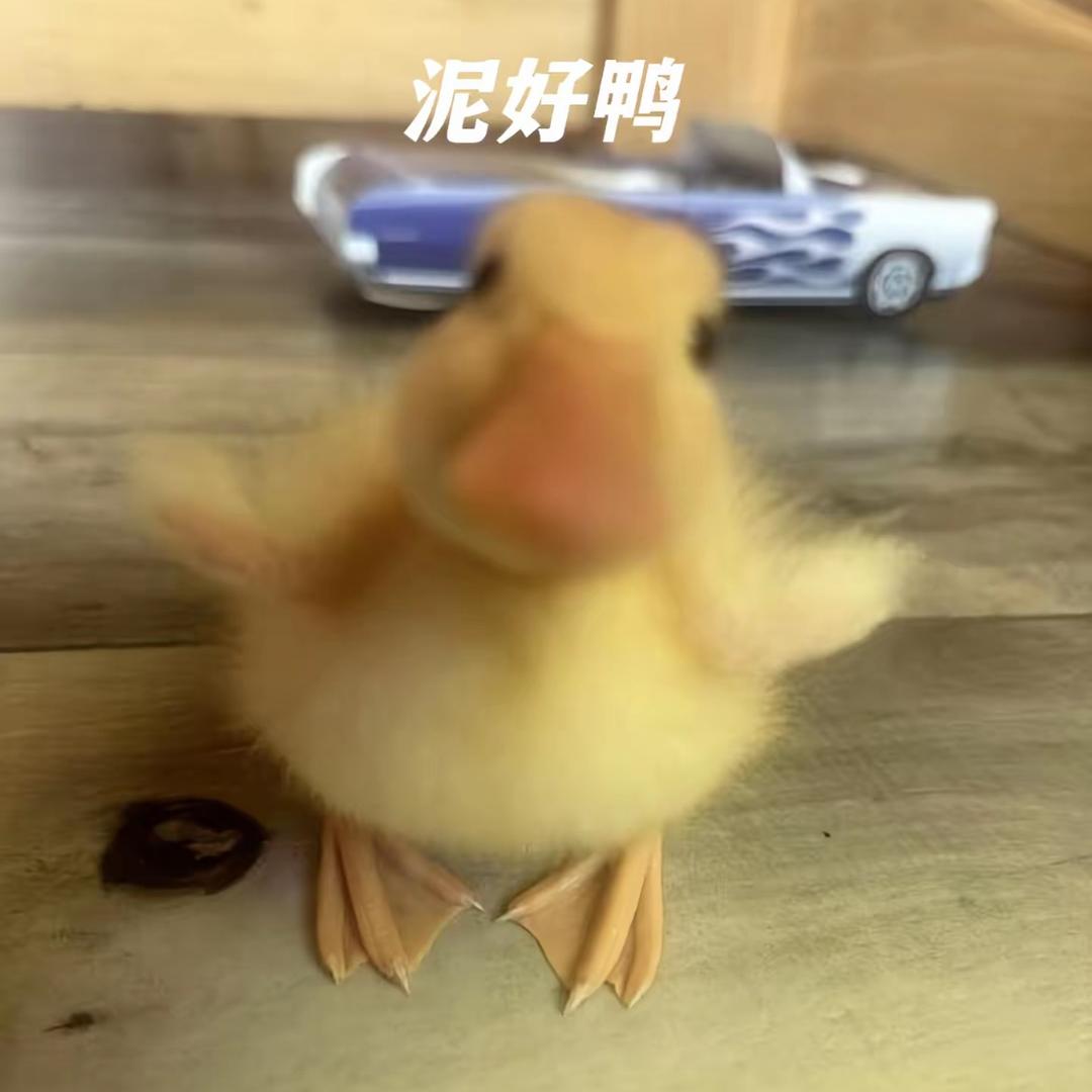 OK
