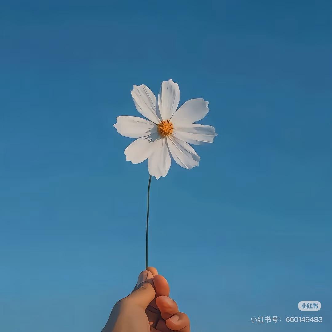 柚一专店