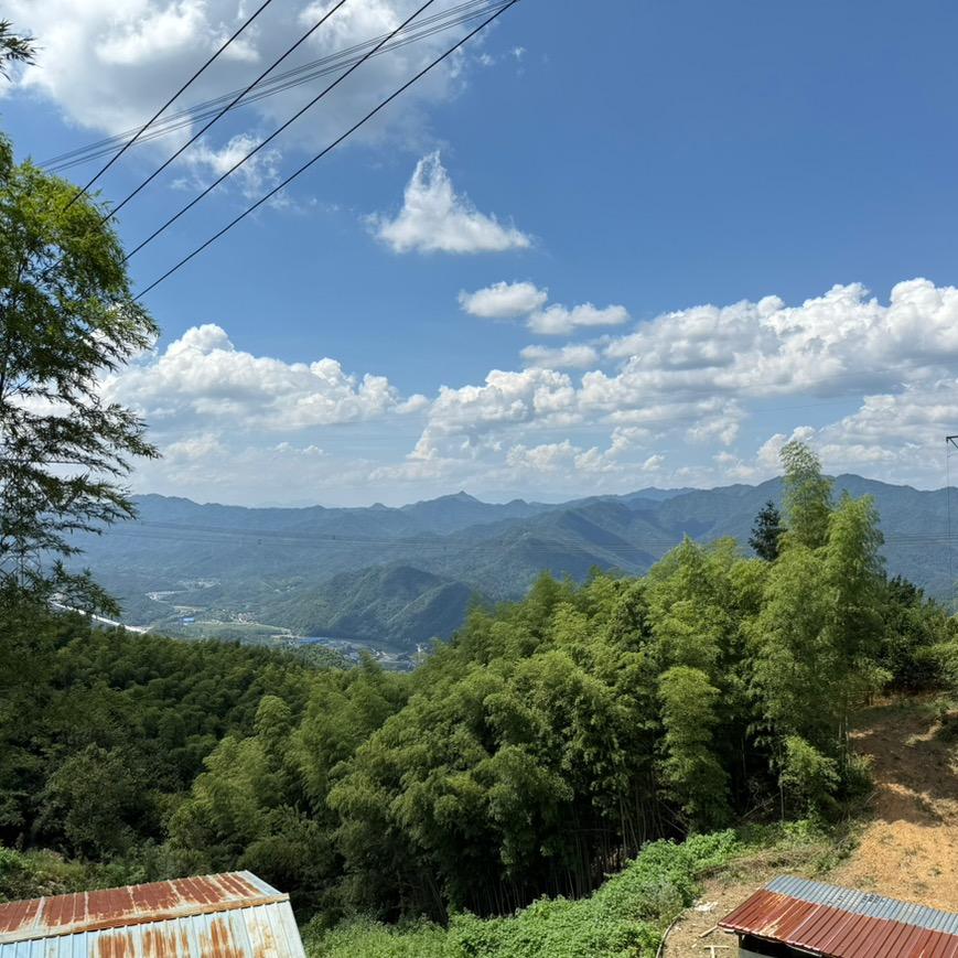 金寨高山黑毛猪养殖农场