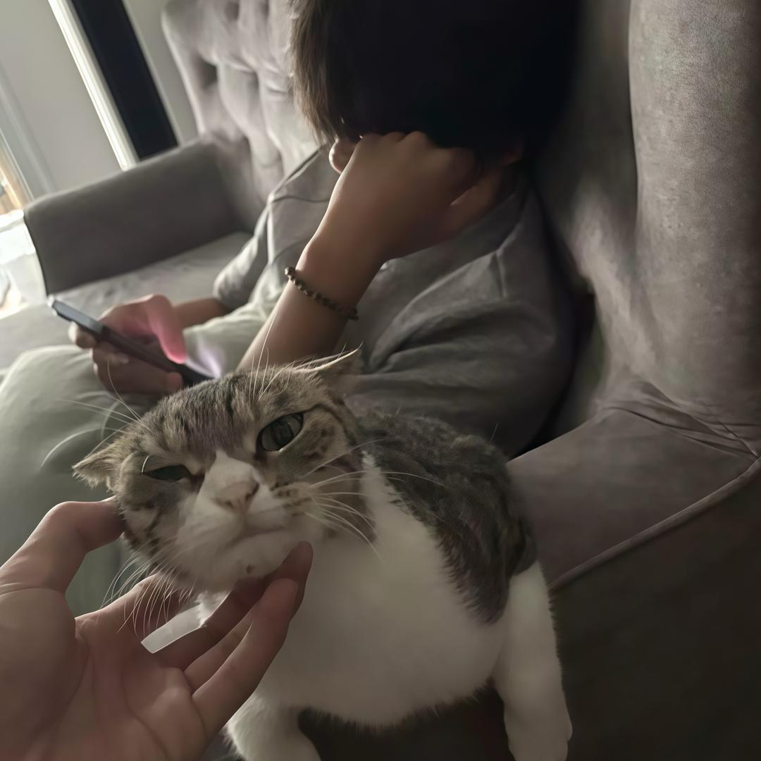 虚伪的说爱