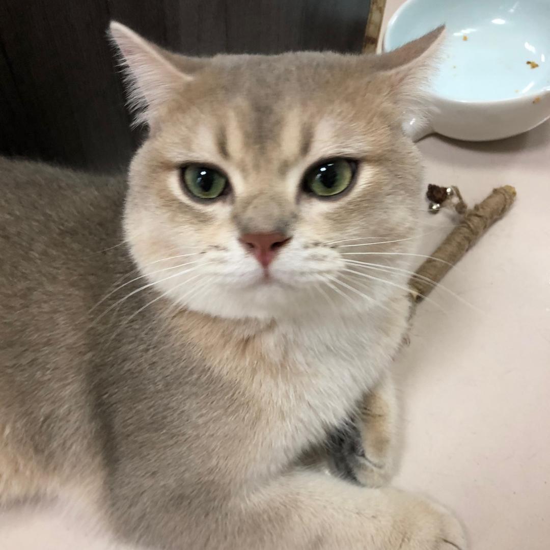 Aa天一专升本总部路老师