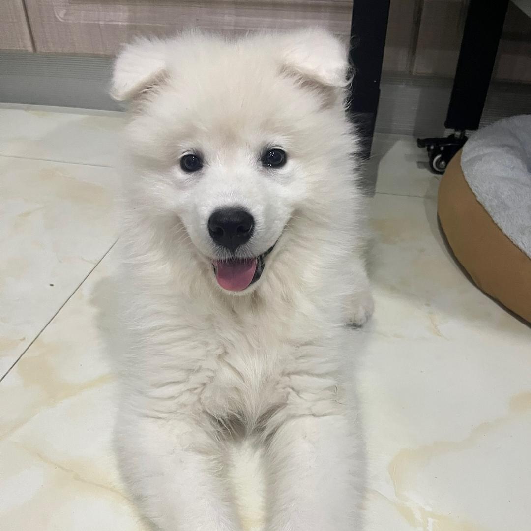 杭州临平租售张校长