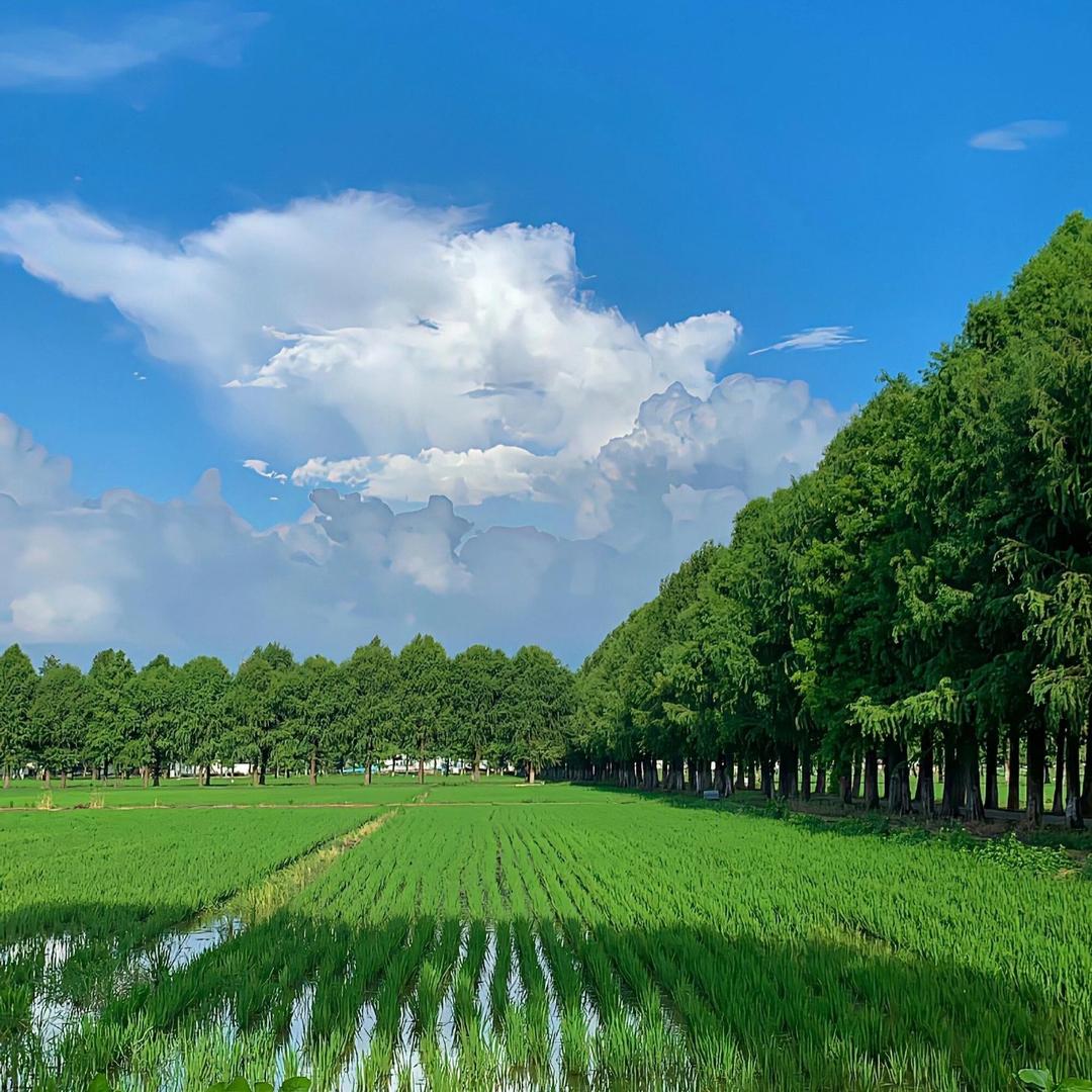 韵娜aspqw直播号