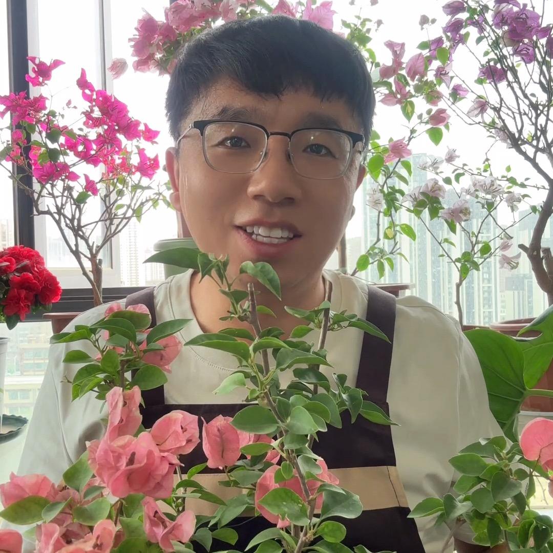 泽泽爱养花