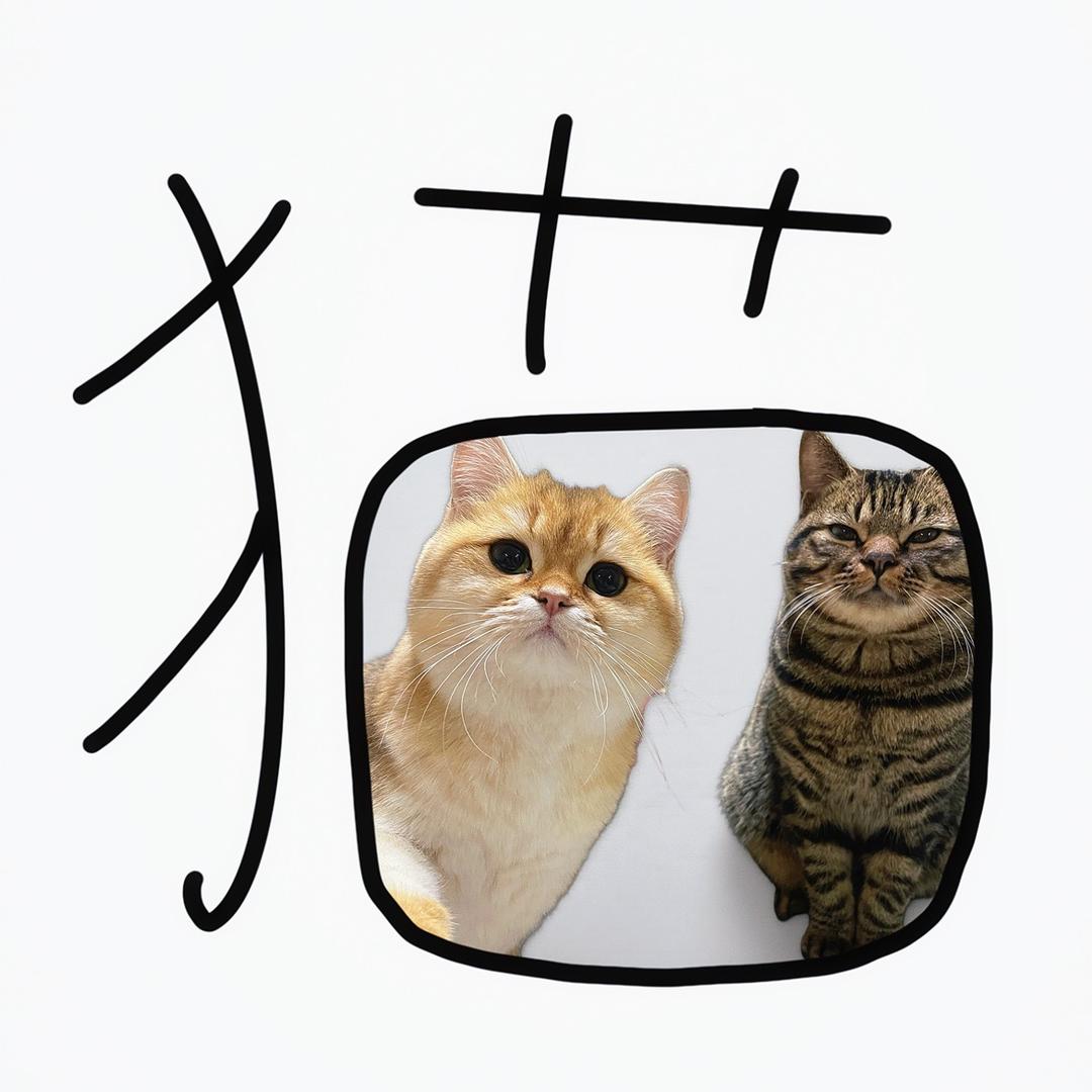喵星人在我家
