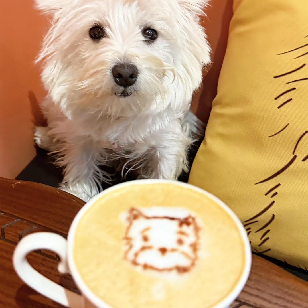 J8634coffee
