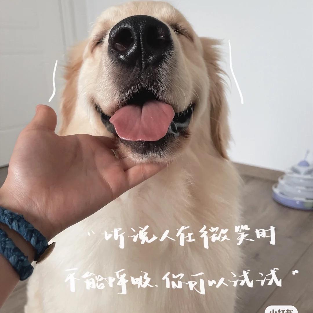 吕哈哈