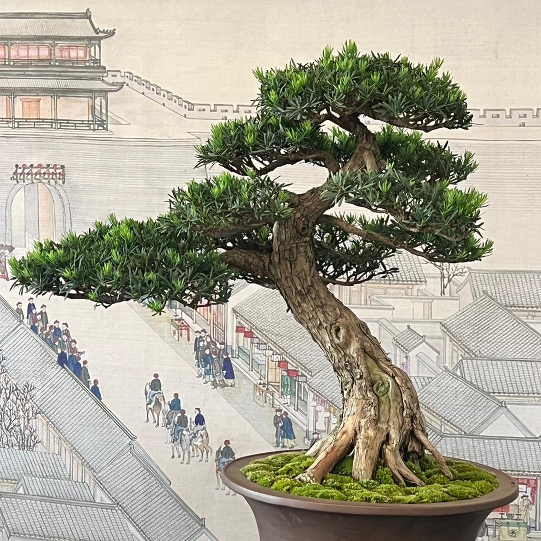上房揭瓦