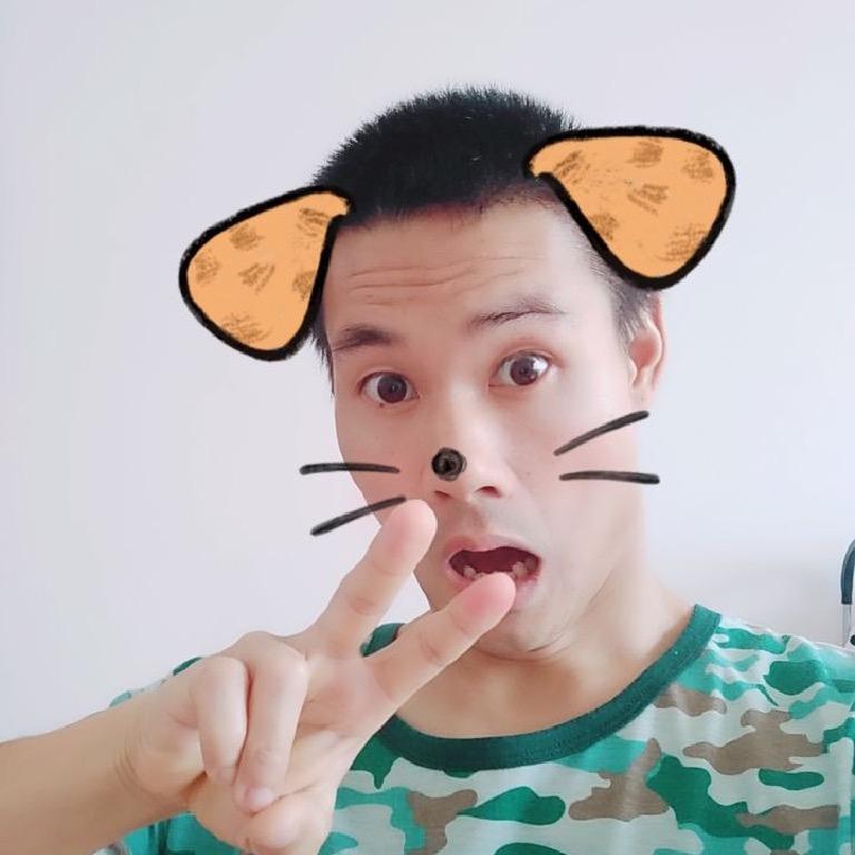 小龙特效