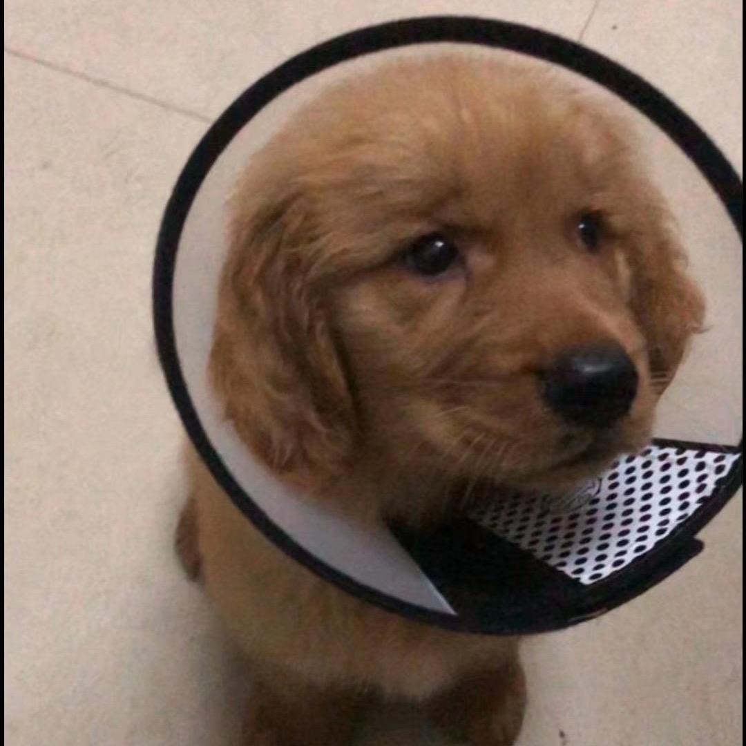 托尼