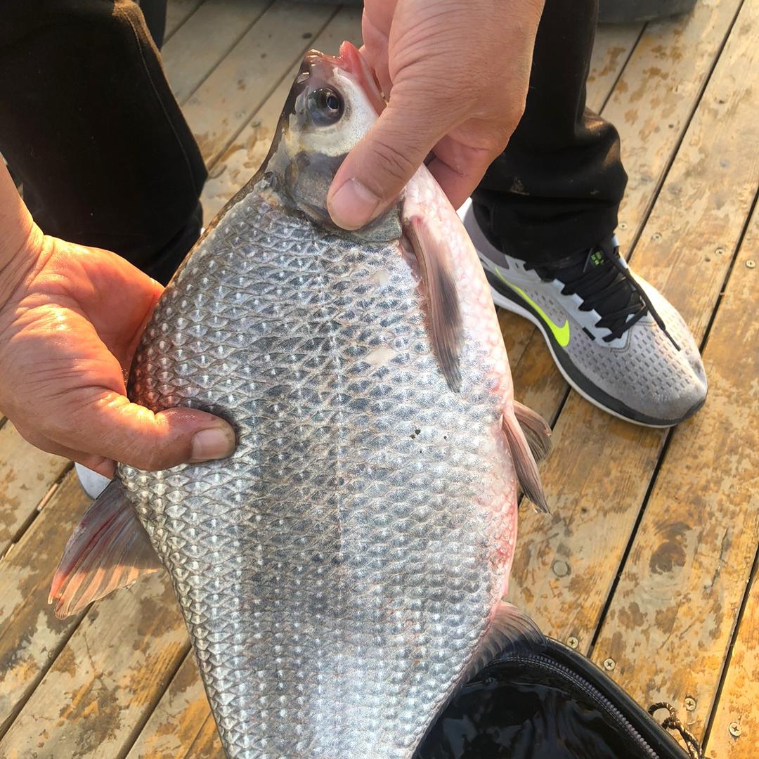 随波逐流