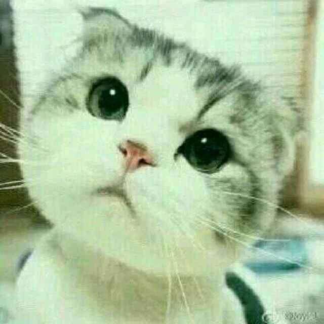 完美国际58灬同床