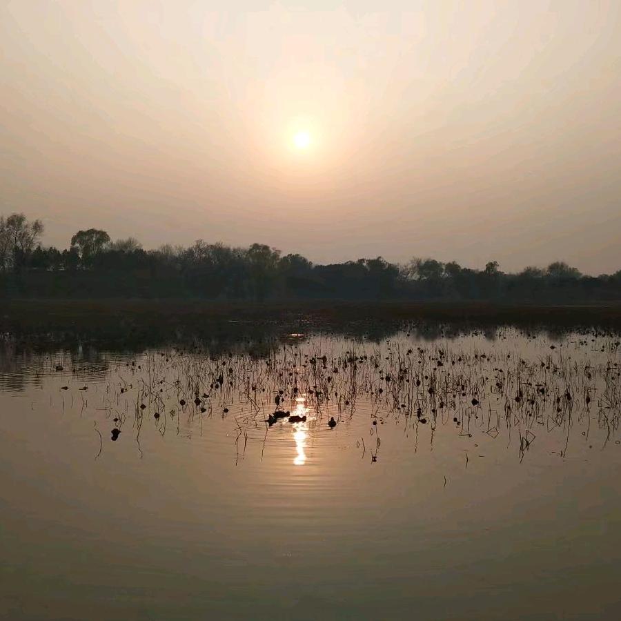 开心过好每一天