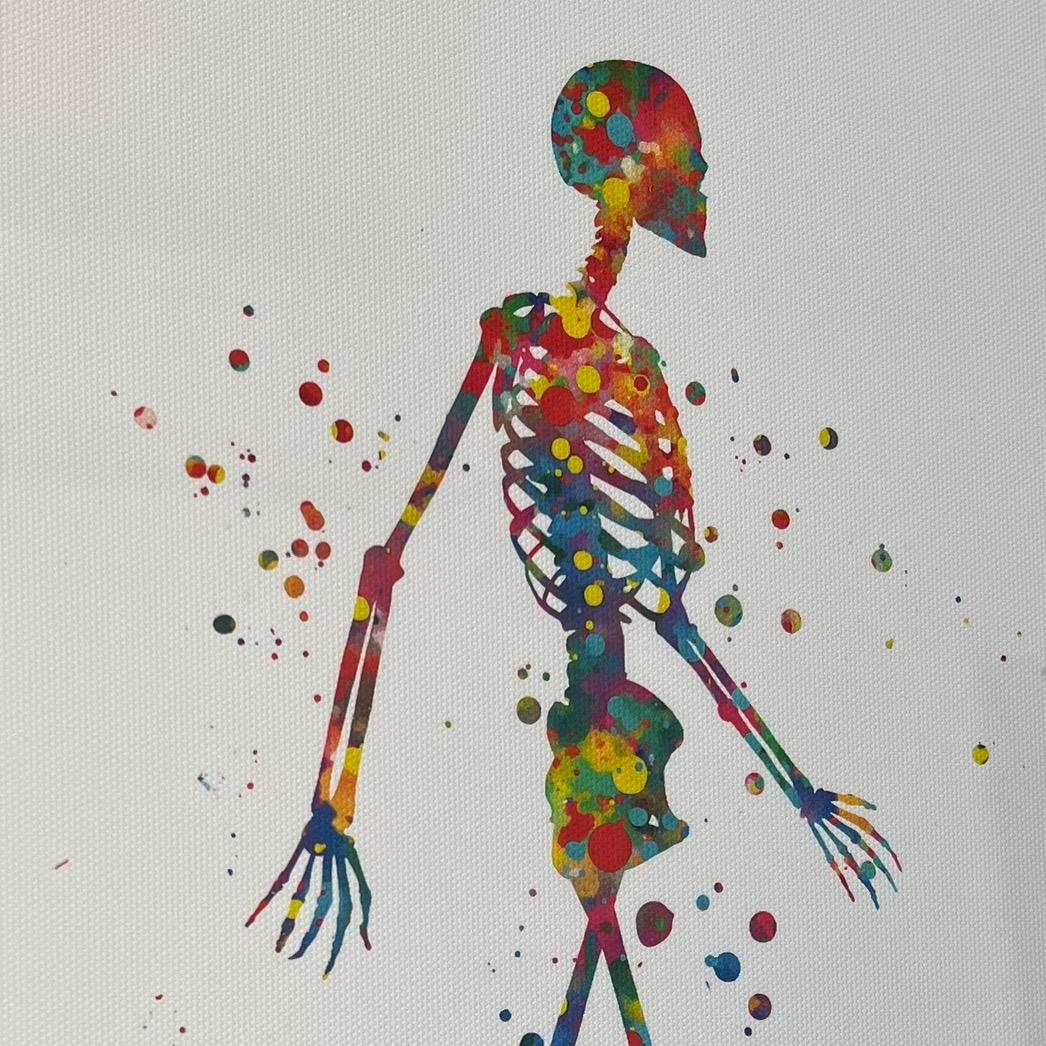 动作与训练IanZhang