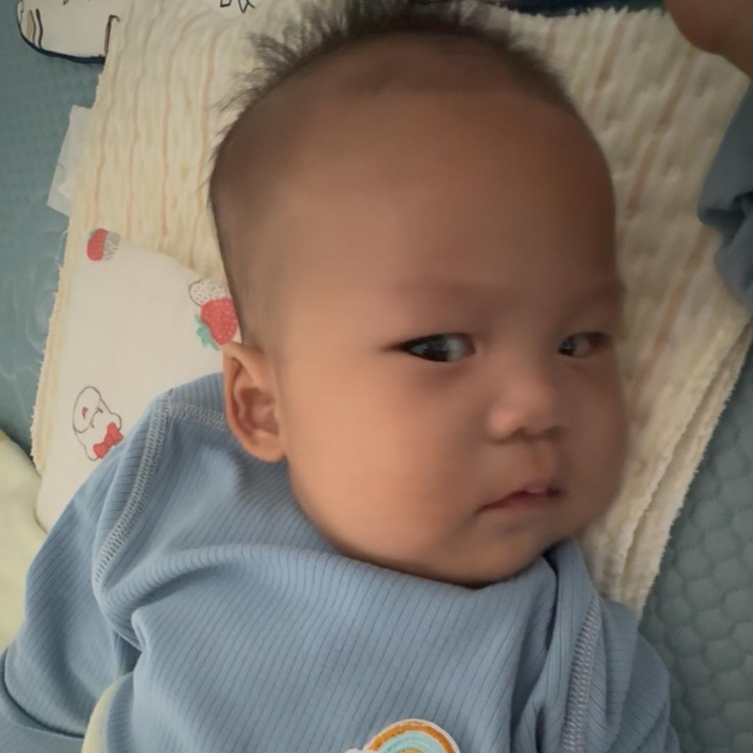淡定的吃货