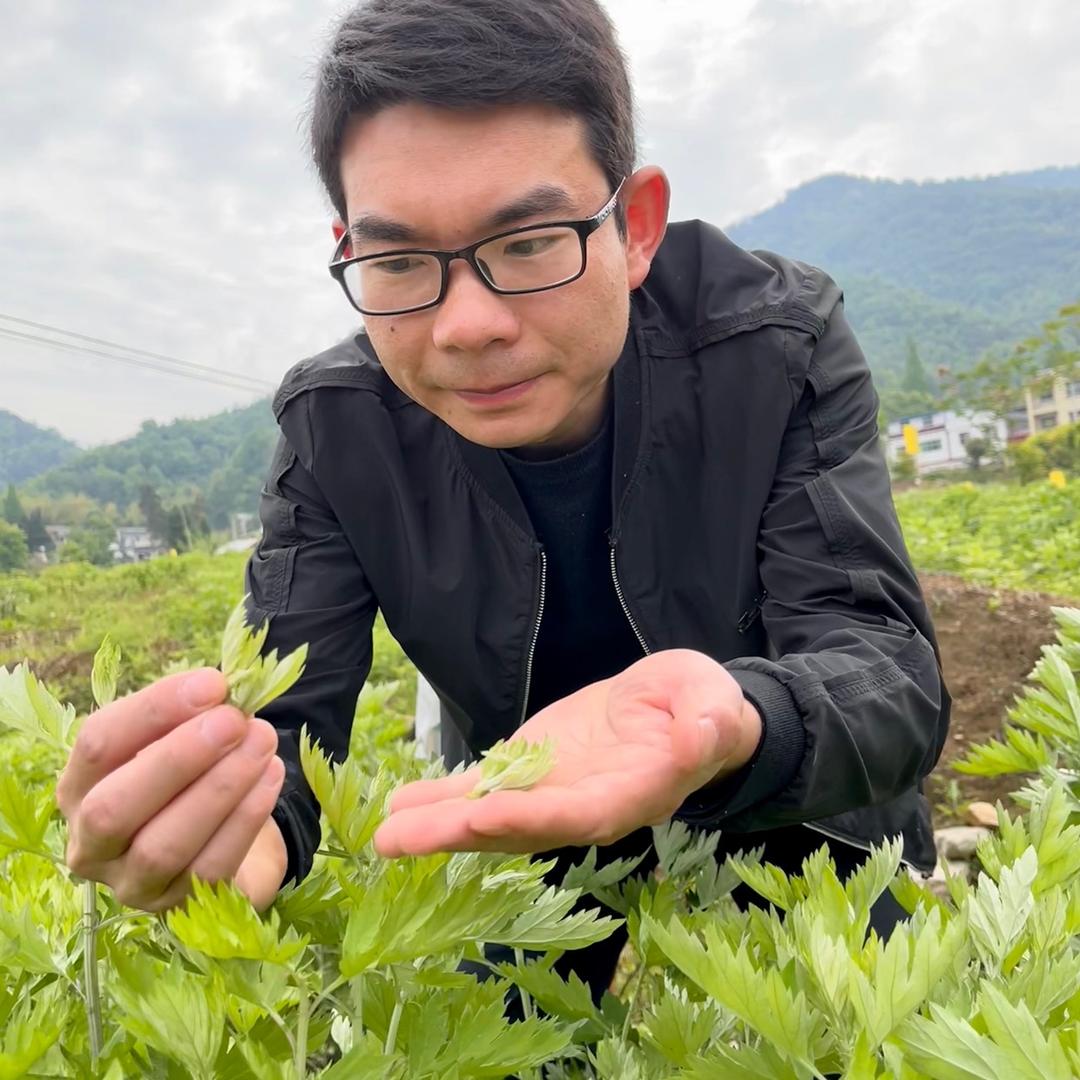 艾小满