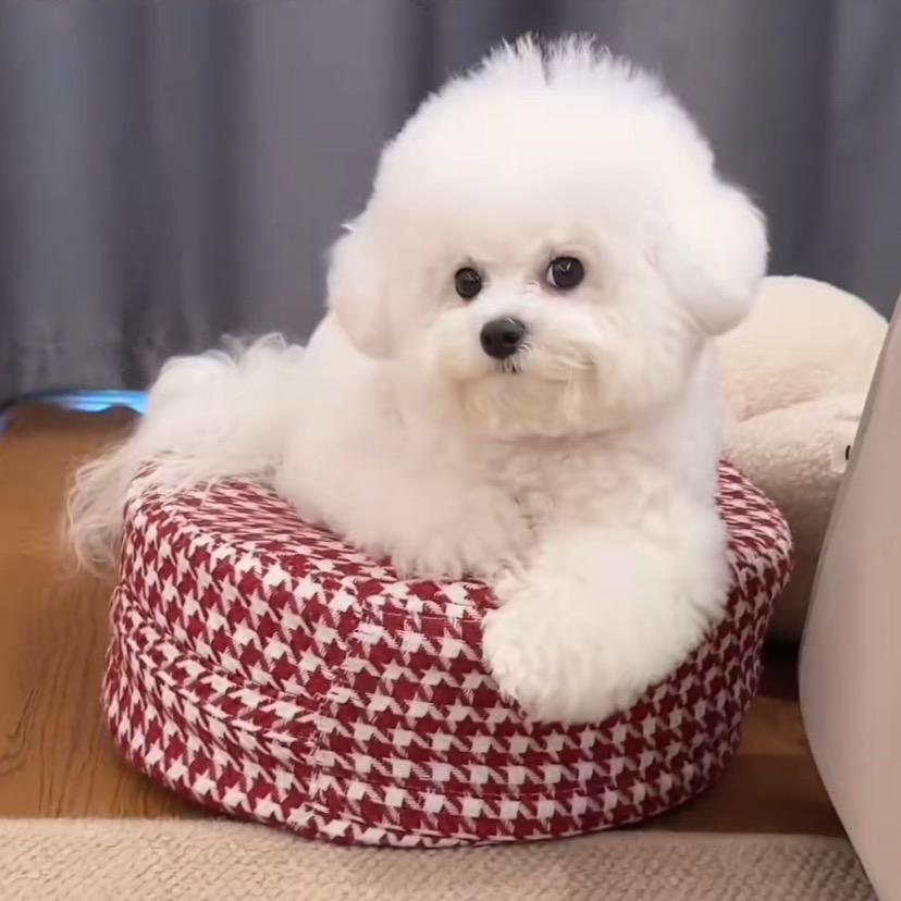 是欣欣吖