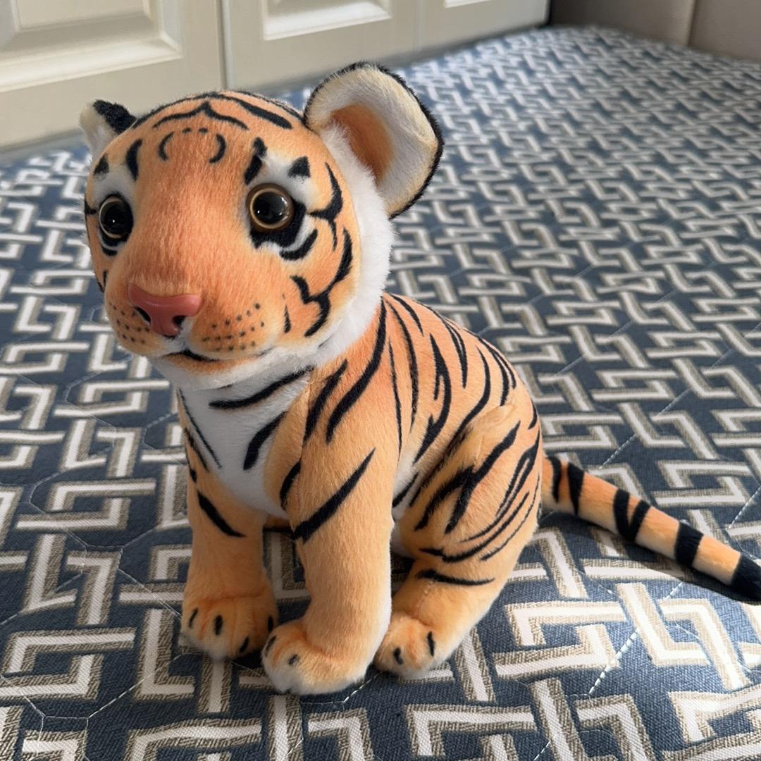 迷恋¥音乐的节奏🎵