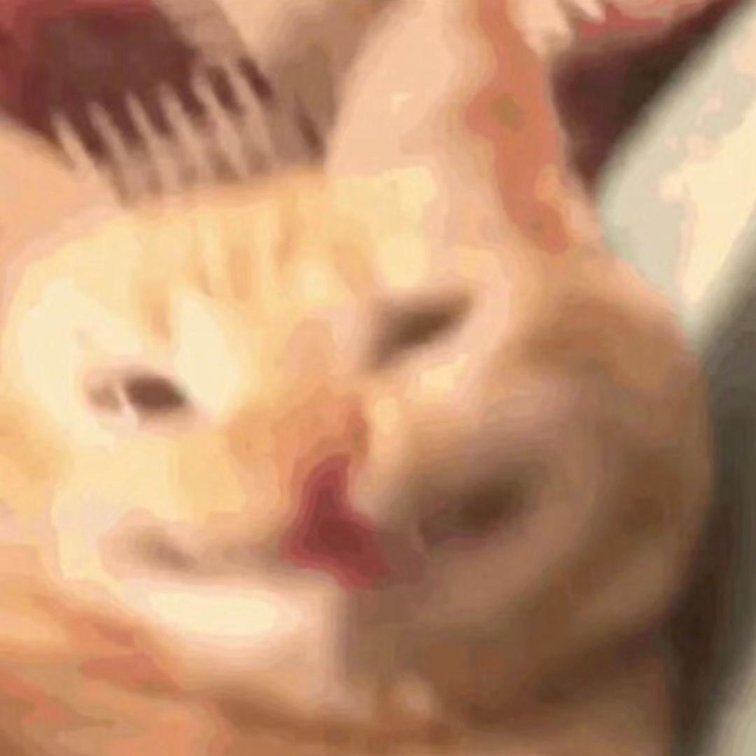 噢哈哈