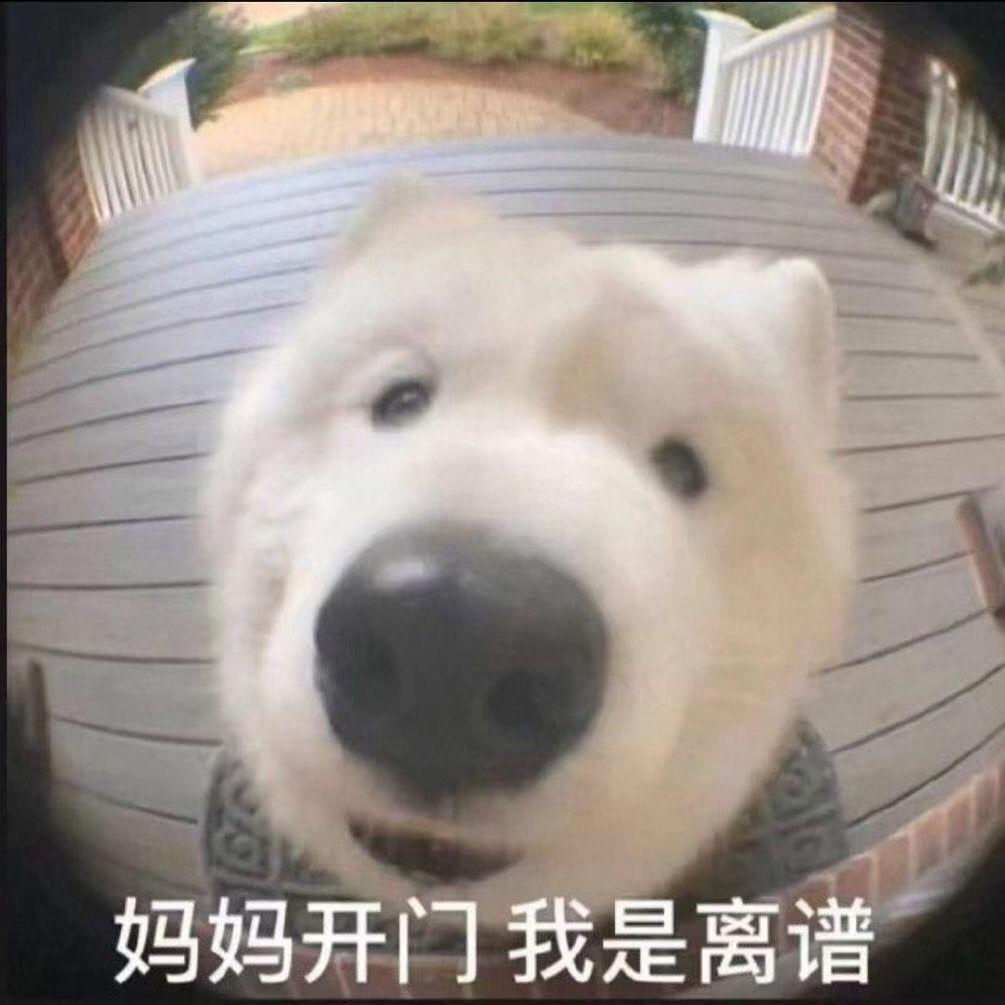 油泼面记录员