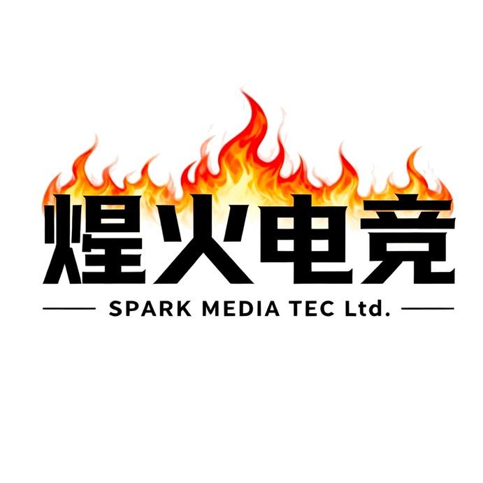 煋火电竞(无畏契约)