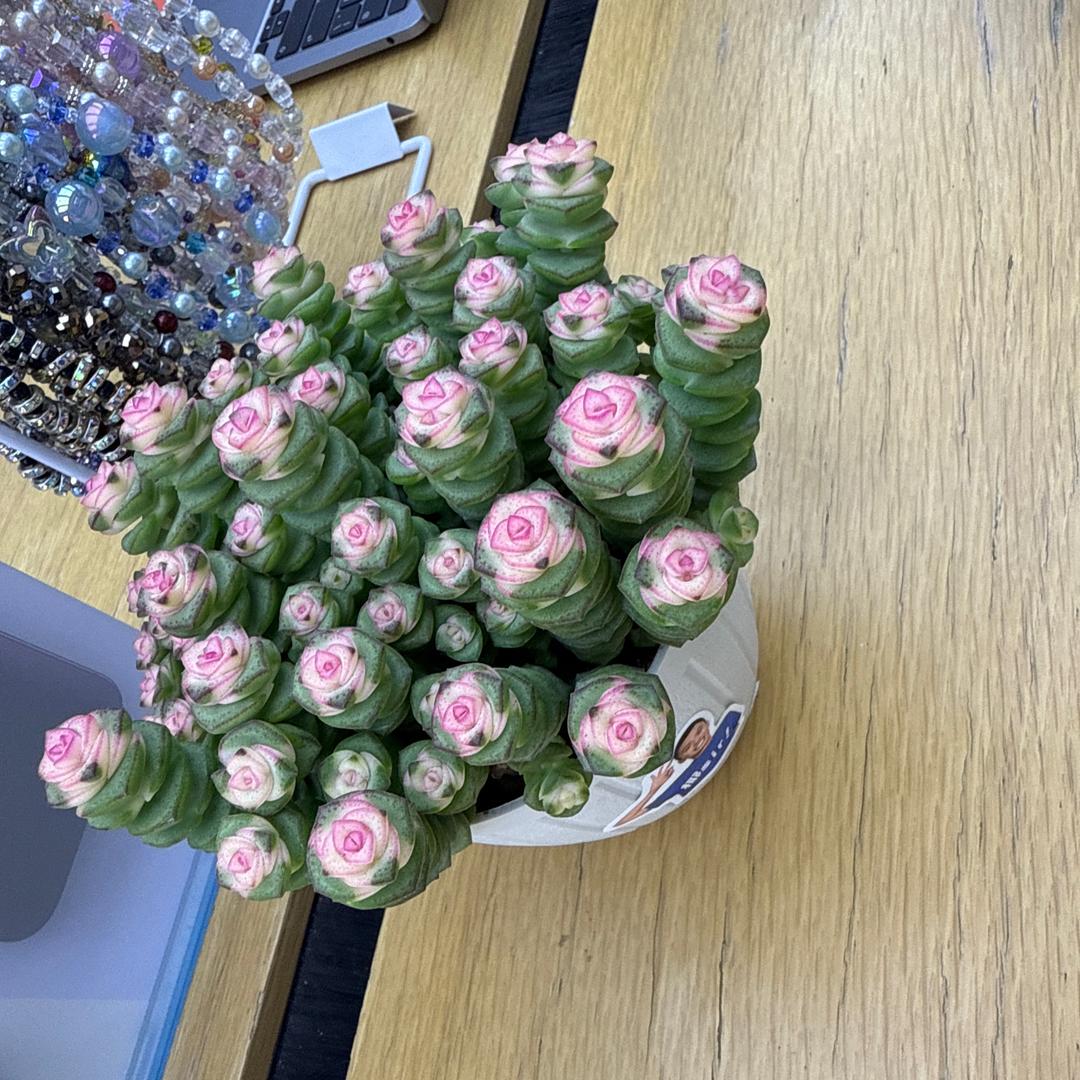 一个人去吃火锅