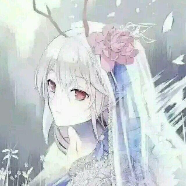 琦颜Qiann