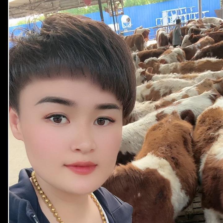 养牛大王赵总