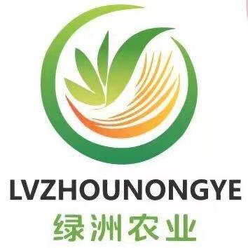 绿洲甄选