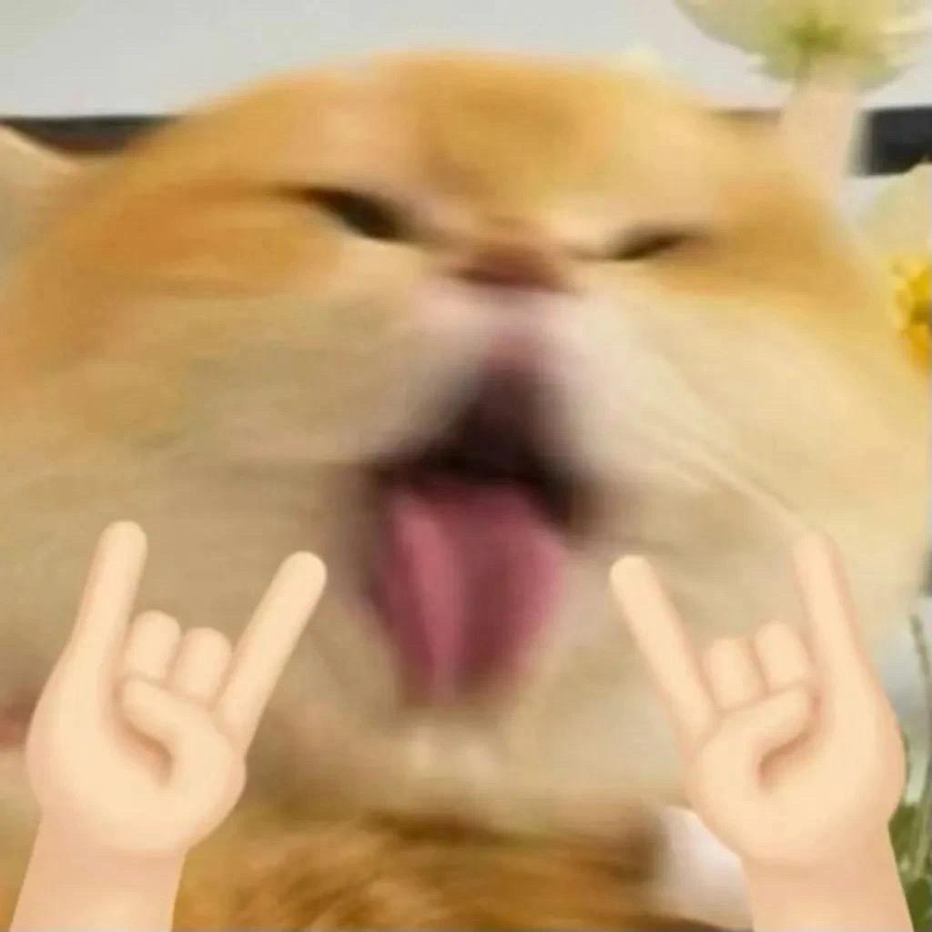 小小可乐不加🧊