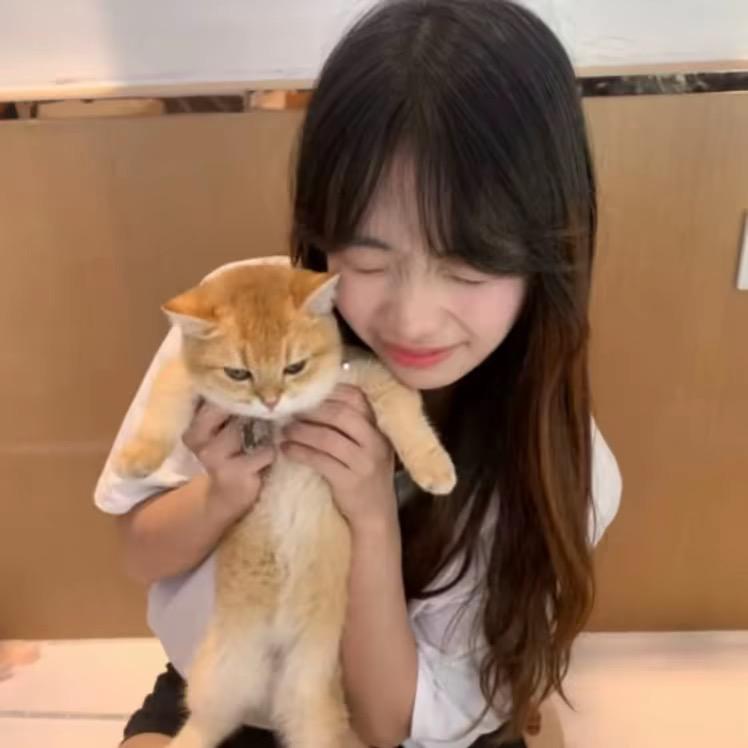 虫虫^